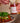 Chili Collection